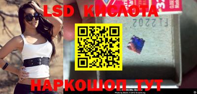 индика Заводоуковск