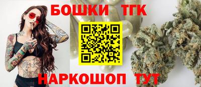 индика Заводоуковск