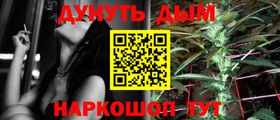 индика Заводоуковск