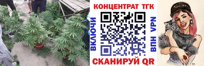 Дистиллят ТГК концентрат  KRAKEN как войти  Курчалой 