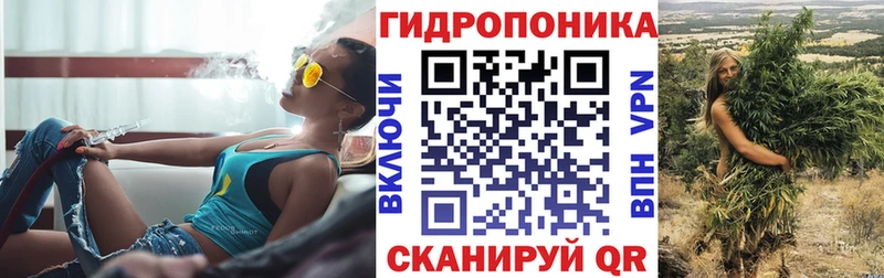 Канабис марихуана  kraken ССЫЛКА  Курчалой 