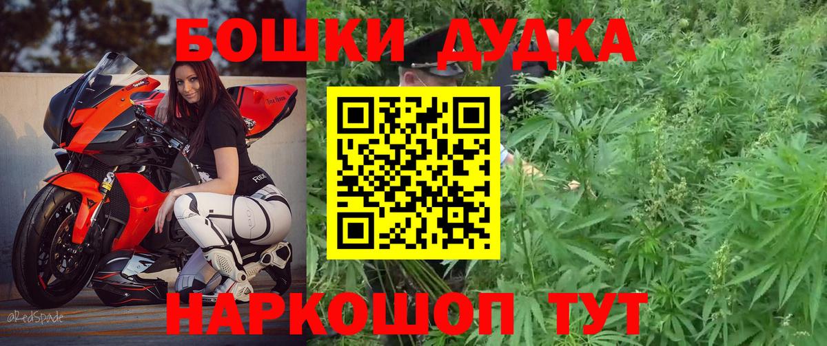 Шишки марихуана OG Kush Курчалой